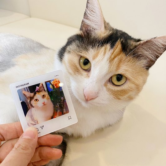 Instagram-Style Personalized Acrylic Pet Photo Fridge Magnet