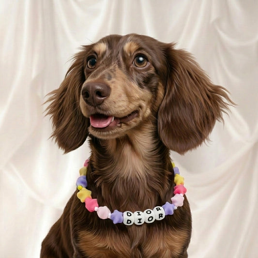 Star Constellation Name Collar