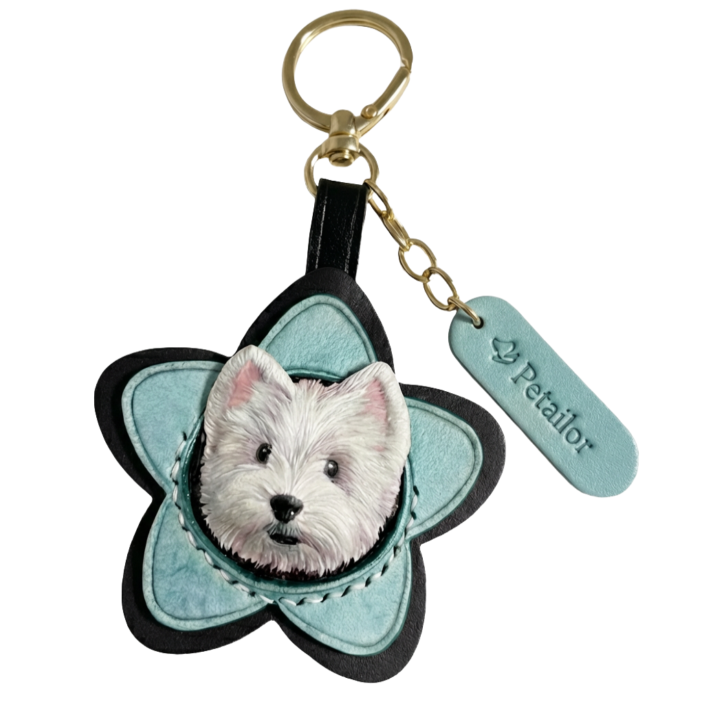 Custom Pet Leather Engraved Star Shape