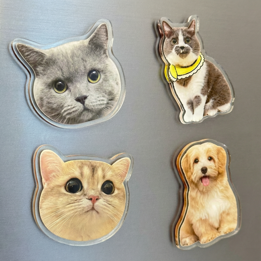 Personalized Acrylic Pet Magnet