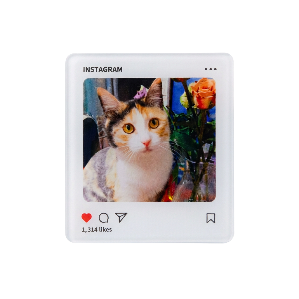 Instagram-Style Personalized Acrylic Pet Photo Fridge Magnet