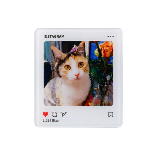 Instagram-Style Personalized Acrylic Pet Photo Fridge Magnet