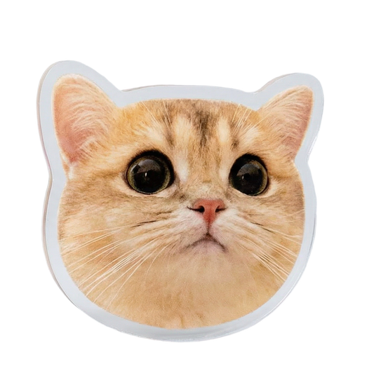 Personalized Acrylic Pet Magnet