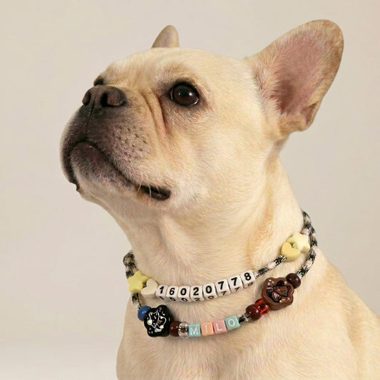 Custom Pet ID Necklace